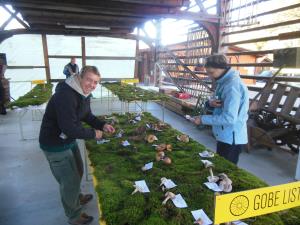 Gobarska razstava TD PUdgura_2017_01